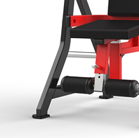 Appareil Commercial de Musculation Abdominale RS-1037 pour Isolation des Abdos et Entraînement de Base en Salle de Sport