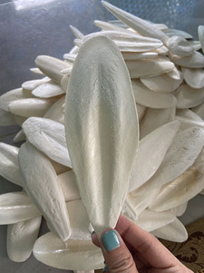 อาหารสัตว์แห้งสำหรับนกหมูจากเวียดนาม - Product Image 3