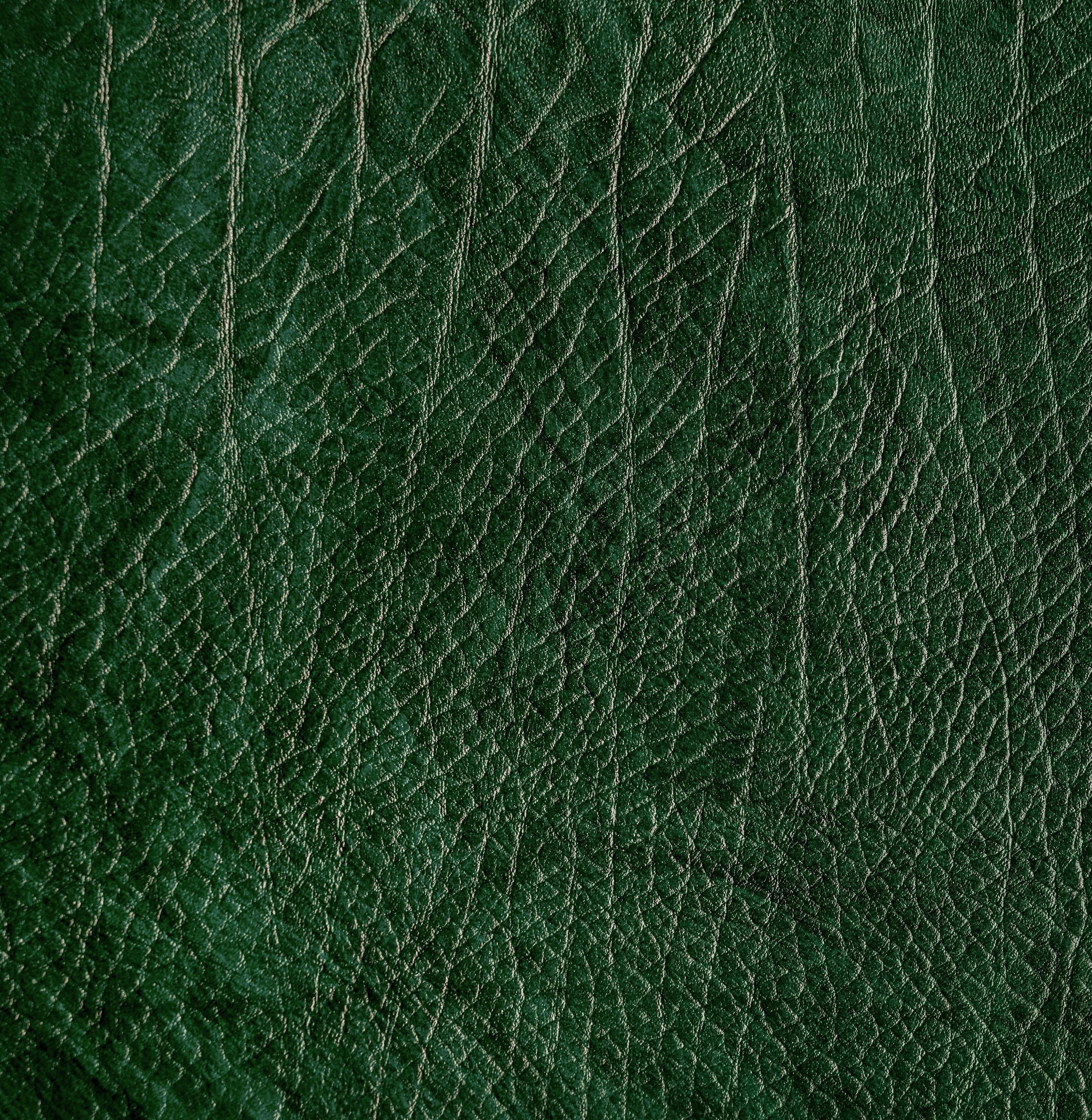 กระทืบสีเขียว