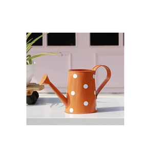 Pot d'arrosage décoratif en métal pour plantes, arrosoir manuel de jardin pour plantes, arrosoir de stockage pour plantes aquatiques à fleurs avec vente - Product Image 2