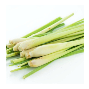 Fresh Frozen Lemongrass Sliced And Whole Frozen Lemongrass Stalks For Seasoning Frozen Lemongrass Vietnam Producer - Product Image 4