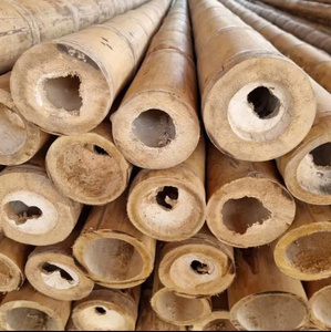 Construction de pieux en bambou pieux en bambou de haute qualité en gros du Vietnam - Product Image 2