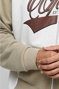 Venta al por mayor de gran tamaño Boxy Color Block oficial manga raglán Zip Through Hoodie Custom Hoodies hombres algodón mezclado último diseño - Product Image 5