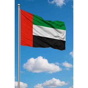 Drapeau de poche des Émirats arabes unis, logo personnalisé, impression numérique sur satin et polyester, mât en aluminium pour utilisation en voiture - Product Image 3