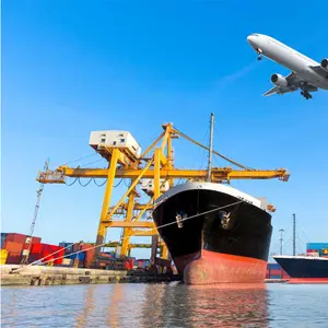 SP container Best China USA/UK/Europa/Canadá/Australia forwarder flete Vietnam to door servicios de envío