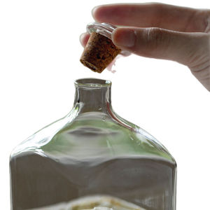 Huile d'argan pure du Maroc pour la fabrication et la vente au détail de produits capillaires, huile naturelle multi-usages pour la réparation, la fixation de l'hydratation et la réduction des frisottis - Product Image 5