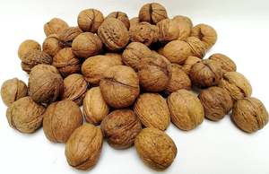 Nueces Secas Orgánicas a Granel de Primera Calidad, Saludables, Duras, Saladas, en Bolsa Sin Cáscara, de la Más Alta Calidad para Exportación - Product Image 4