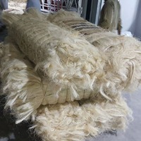 Premium Selection Sisal Fiber Strong Raw Natural Fiber Bulk Orders for Wholesale Export and Manufacturing Business
