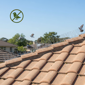 Puntas de Acero Inoxidable Rigiflex, Disuasivo para Aves, Solución Flexible para el Control de Plagas - Product Image 4