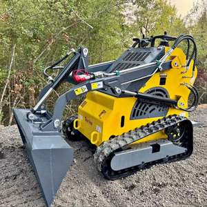 Minicargador barato CE EURO5 EPA, minicargador de orugas de rueda diésel con motor EPA, minicargador de oruga para todo terreno, envío gratuito - Product Image 1