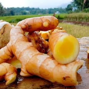 Extracto de CO2 de Ambehalad, producto de Extracto de planta Premium - Product Image 3