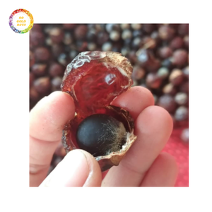 Suministro a granel de nueces de jabón para exportar desde Vietnam Acción de limpieza fuerte y precio de fábrica competitivo - Product Image 2