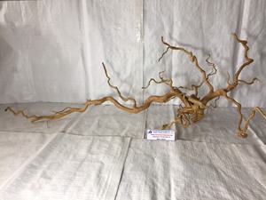 Venta caliente 2025 Driftwood natural para decoración de accesorios de acuario de Vietnam - Product Image 3