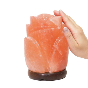 Bas prix nouvelle lampe de sel de l'Himalaya en forme de fleur avec boule de sel naturel décor à la maison et veilleuse de guérison - Product Image 2