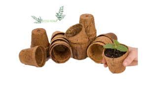 Produit CHAUD 2024 Pot De Plantes En Fibre De Noix De Coco/Pot En Fibre De Coco De Haute Qualité Et Prix Pas Cher De Eco2go Vietnam - Product Image 2