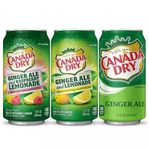 Birra allo zenzero secco in Canada 355ml - Product Image 5