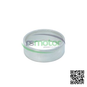 Cojinete Original OEM MWM RS-12280960 - Product Image 4