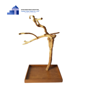 Artículos calientes Soporte de juego de pájaros de madera de café natural Soportes de pájaros de madera para loros de mascotas de Vietnam para mayoristas - Product Image 4