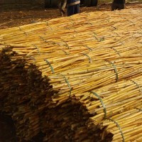 Pared de cincha de ratán entera del fabricante VietDelta en Vietnam, producto de vacaciones a buen precio - Product Image 2