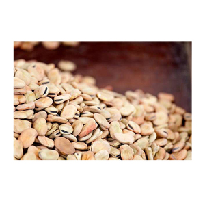 High Quality Organic Kidney and Fava <b>Beans</b> Whole and Split From Egypt-Agriculture Grade Bulk Supply Wholesale Wholesale - Product Image 1