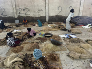 Poudre d'arabe de gomme naturelle pure de qualité supérieure 100% Soudan Acacia Sénégal Chine Gomme arabe traitée Meilleur produit agricole - Product Image 6