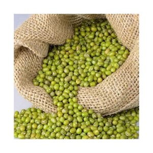Green Mung <b>Beans</b> Fresh Harvest Export Grade - Product Image 1