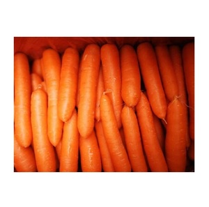 Zanahorias verduras frescas baratas al por mayor de calidad superior a granel - Product Image 5