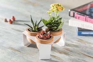 <b>Succulent</b> Planter Wood <b>Plant</b> <b>Pot</b> White Metal Stand Home Office Decor <b>Plant</b> Holder <b>for</b> Desk <b>Plant</b> Display European Simple Design - Product Image 6