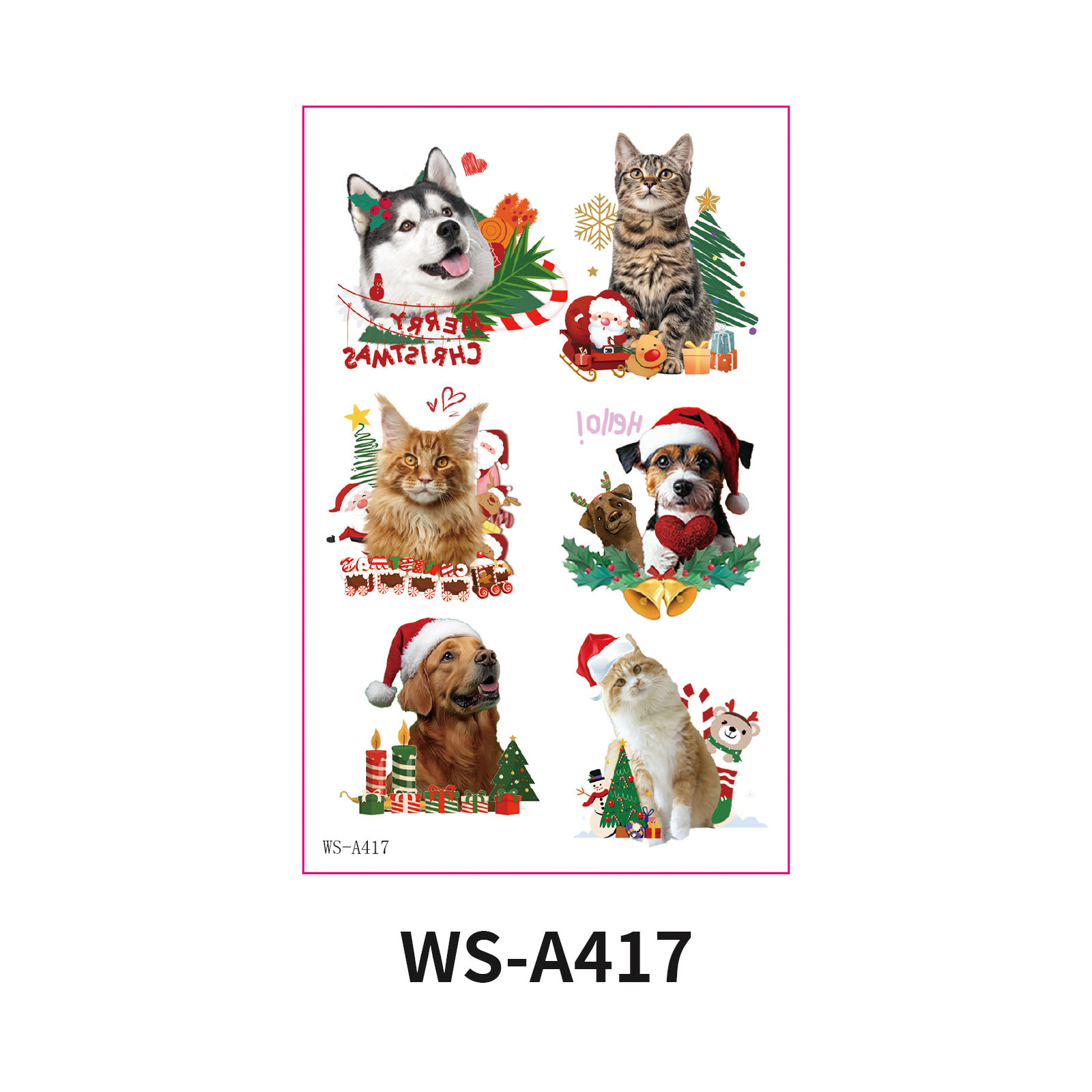 WS-A417