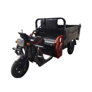 Triciclo Eléctrico Cerrado Económico para Pasajeros, Potencia de 200-250W, Voltaje de 60V, 4 Pasajeros - Tuk Tuk para 4 Pasajeros - Product Image 5