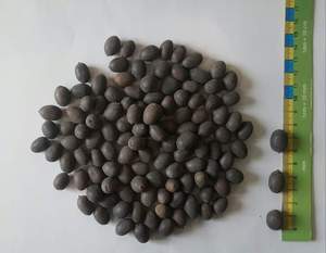 เมล็ดบัวดำผลิตในเวียดนามจากทองคำ99เม็ดแห้ง - Product Image 3