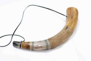 Cuerno de búfalo hecho a mano de alta calidad Técnica pulida para música y rituales Estilo animal Blow Horn - Product Image 5