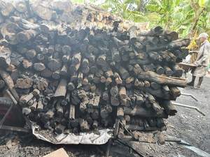 CHARBON DE BOIS NATUREL DE MANGROVE LONGUE DURÉE DE BRÛLAGE SANS FUMÉE SANS ODEUR FINITION EN FRÊNE BLANCHE - Product Image 6