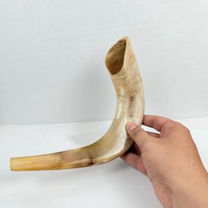 Cuerno de Shofar de Carnero Natural Pulido - Decoración Religiosa Ecológica para el Hogar de Alta Calidad - Product Image 4