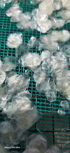 ÉCHELLE DE POISSON TILAPIA NATUREL-ÉCHELLE DE POISSON OSSEIN BLEU LOTUS VIET NAM - Product Image 2