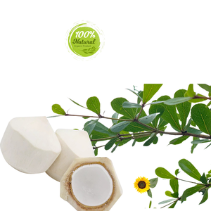 Produits agricoles à base de noix de coco au diamant Douceur naturelle pour la préservation de la santé - Product Image 2