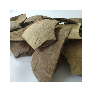 Cáscara de Coco Cruda de Vietnam, Material Seleccionado, Ideal para Artesanías Hechas a Mano, Fabricación de Carbón Vegetal y Suministro para Exportación 2025 - Product Image 1