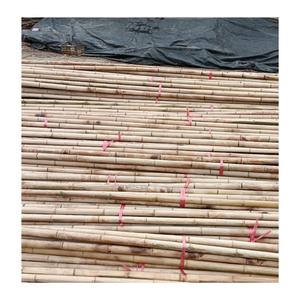 Poteau en bambou-poteaux en bambou naturels du Vietnam pour la construction avec la taille adaptée aux besoins du client - Product Image 2