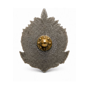 Insignias para Gorras de Alta Calidad con Material Duradero, Diseño Fácil de Usar para Ropa Personalizada y Accesorios de Uniformes - Product Image 3