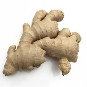 Prix de gros à l'exportation Plaisir persistant Fibres fines Couleur de peau brillante Gingembre frais - Product Image 1