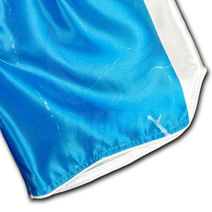 Logotipo personalizado superventas hombres Muay Thai pantalones cortos de secado rápido transpirable Muay Thai pantalones cortos para hombres - Product Image 5