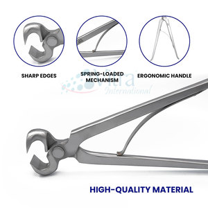 Juego de Herramientas Manuales para Herrador de Acero Inoxidable de Alta Calidad, Aprobado por la CE, Duradero, para Cortar Pezuñas, el Más Vendido - Product Image 6