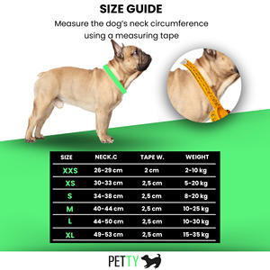 PETTY LED <b>Dog</b> Collar - Rechargeable USB Collar with Buckle Closure and Safety <b>Button</b> for Small, Medium, and Large <b>Dogs</b> - Product Image 2