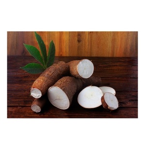 Wholesale Price Supplier of <b>Fresh</b> <b>Vegetables</b> Cassava Bulk Stock With Fast Shipping - Product Image 6
