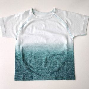 Nepoagym femmes Ombre sans couture à manches courtes haut court Gym haut court Compression sans manches Yoga chemise Yoga chemise femmes - Product Image 4