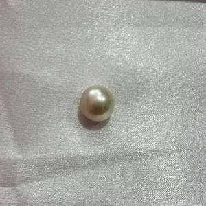 Perla marina blanca de grado AA de 12 mm que exuda una elegancia atemporal, ideal para crear joyas lujosas y adornos elegantes. - Product Image 1