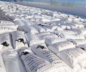 Sel de mer égyptien noir industriel de qualité alimentaire, grossier, lavé, iodé, pureté 99%, en vrac, MOQ 27,5 MT - Product Image 6