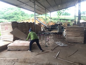 Vente en gros de contreplaqué de construction d'usine du Vietnam en bois d'eucalyptus dur de conception industrielle placage coupe rotative 1.7mm d'épaisseur - Product Image 3