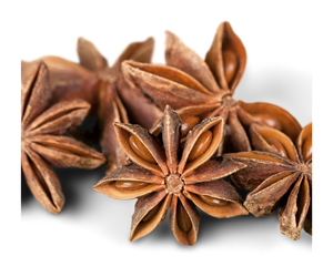 Venta caliente anís estrellado seco Lang Son anís de Vietnam producto agrícola materia prima para hierbas y especias - Product Image 2