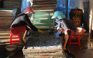 Anchois crus séchés sans tête Sac d'emballage de fruits de mer séchés - Product Image 4